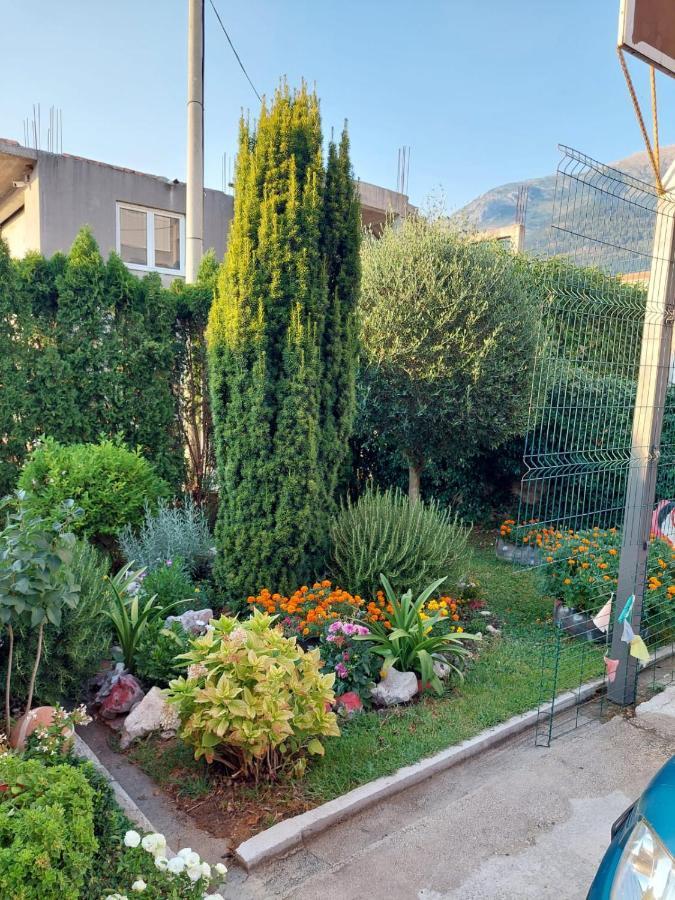 דירות קוטור Green Oasis מראה חיצוני תמונה