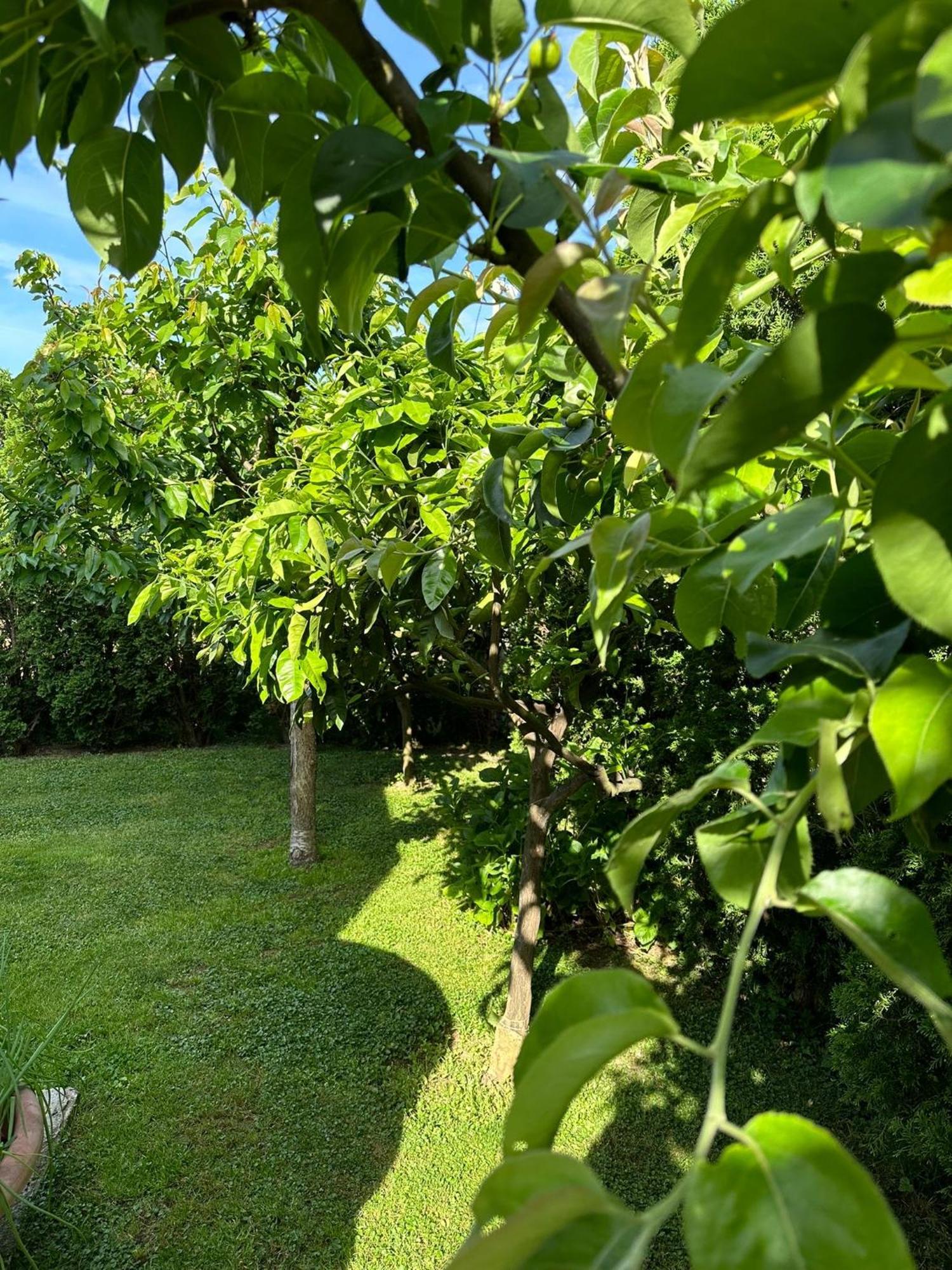 דירות קוטור Green Oasis מראה חיצוני תמונה