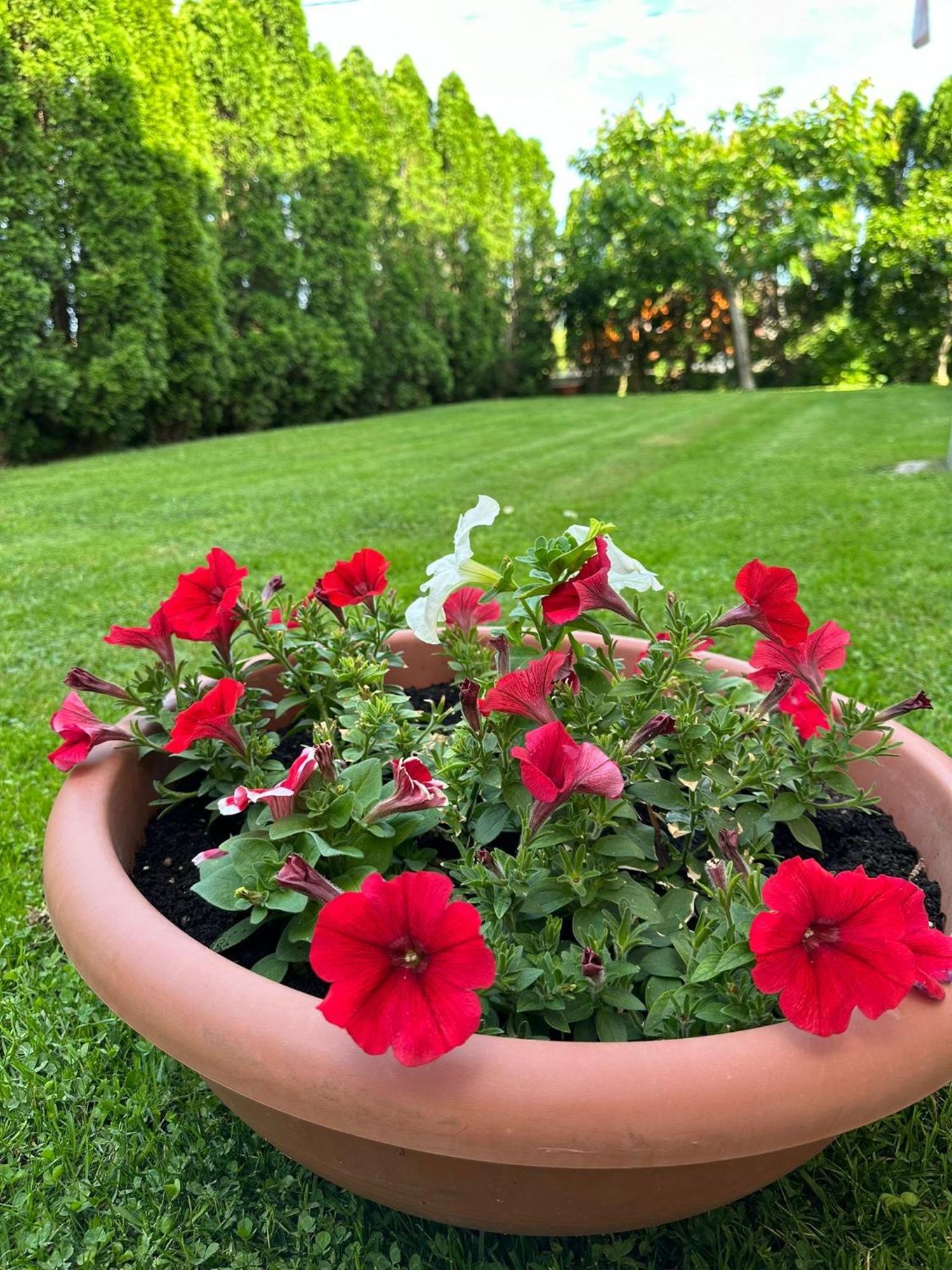 דירות קוטור Green Oasis מראה חיצוני תמונה